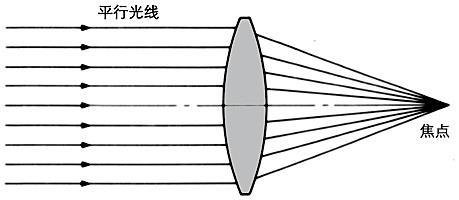 focus什么意思