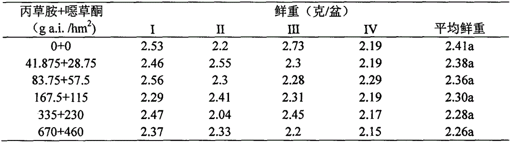 lsd是什么意思