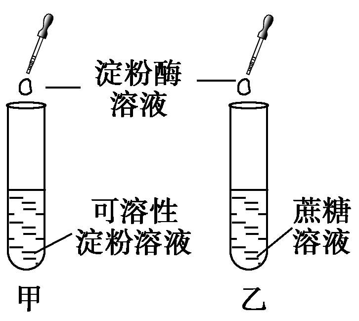 ams是什么意思