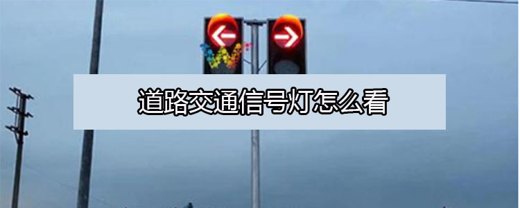 道路交通信号灯怎么看