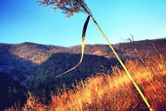 终南山在哪里