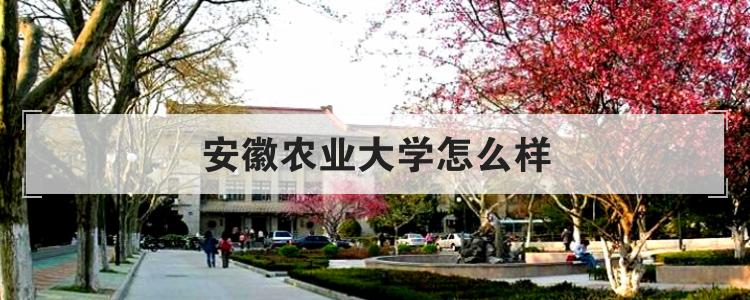 安徽农业大学怎么样