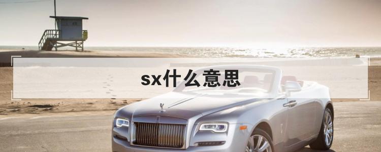 sx什么意思