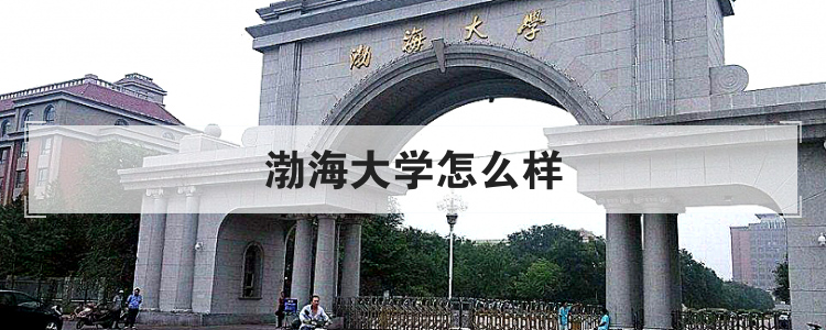 渤海大学怎么样