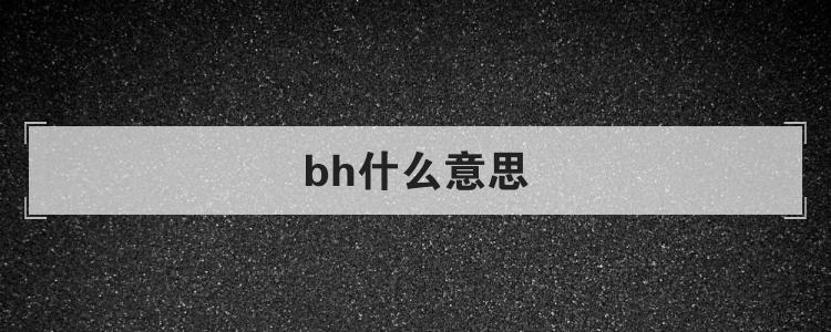 bh什么意思