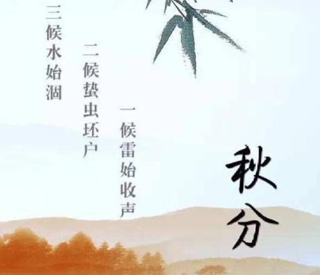 秋分是什么意思