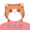 橘猫去水印app最新版