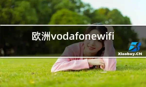 最新欧洲vodafonewifi巨大