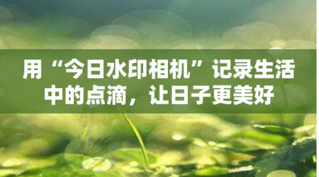 用“今日水印相机”记录这一刻